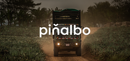 水果品牌形象設計